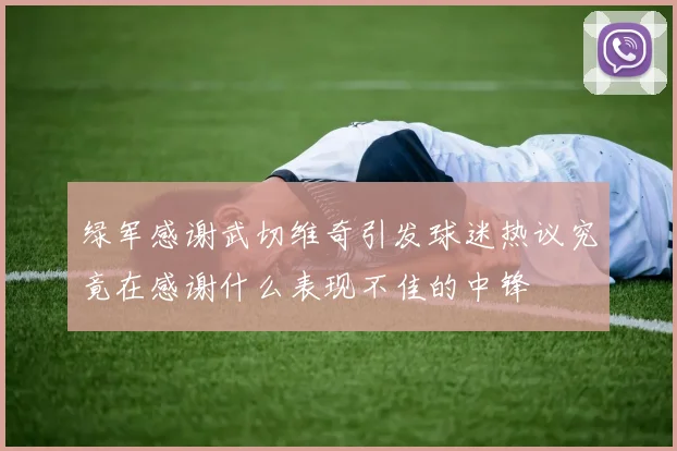 绿军感谢武切维奇引发球迷热议究竟在感谢什么表现不佳的中锋